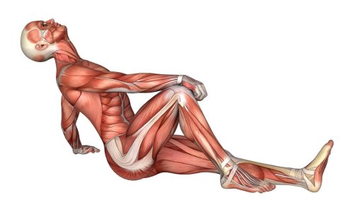 Otkriven novi organ u ljudskom tijelu