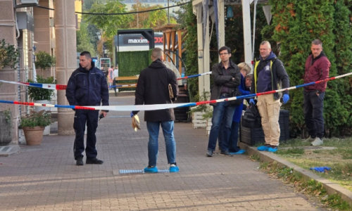 Pronađeno tijelo bebe u Novom Sadu, ubrzo privedena majka