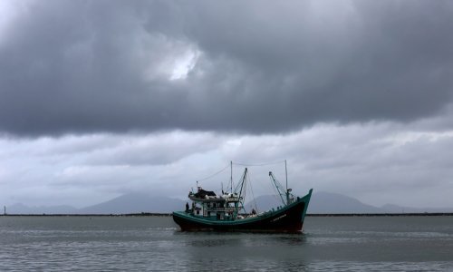 Sa zatopljavanjem oceana pada razina planktona u svijetu
