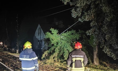 [FOTO] Nevrijeme pokosilo dijelove Hrvatske: Srušena stabla zadavala muke vatrogascima