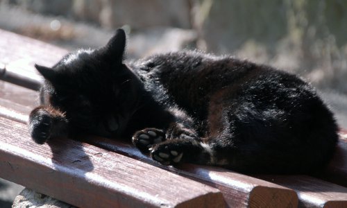 Rastu temperature: Bit će više sunca ovaj tjedan, ali ipak ne posve stabilno