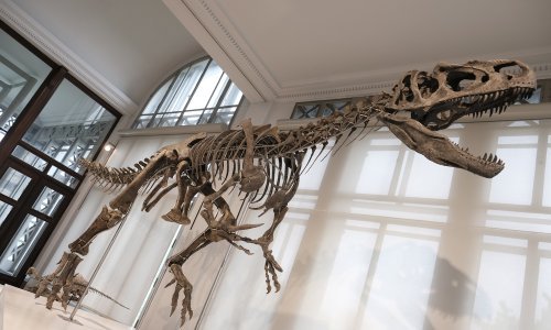 Nove spoznaje o dinosaurima opovrgavaju nekoć popularnu teoriju među paleontolozima