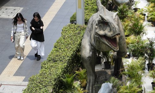 Veliko istraživanje: Nanotyrannus je zasebna vrsta, nije mladi T. rex