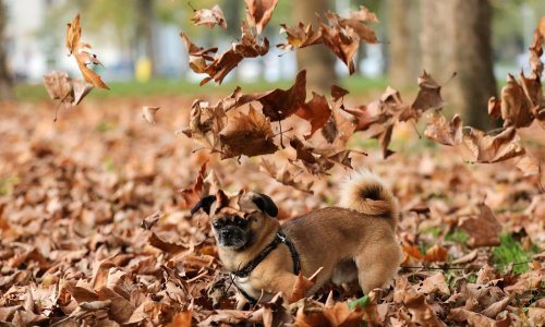 Promjena je na vidiku: Nakon toplog vikenda pljuskovi i pad temperature