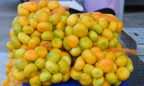 Proizvođači mandarina očajni: 'Imamo manje prihoda nego lani, sve živo nas ubija'