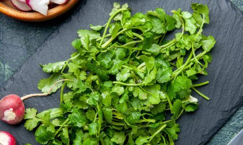 Ovaj drevni začin smanjuje upalu i tjeskobu te pomaže regulirati šećer u krvi, no ima jednu manu