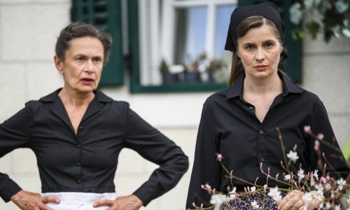 Sve je spremno za prvu epizodu 'Divljih pčela', poruke podrške pristižu iz Grčke i Kolumbije