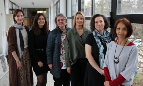 Rad znanstvenica s IRB-a o nanomaterijalima objavljen u prestižnom časopisu