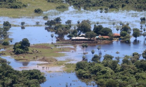 Amazona pod opsadom: Jezera se pretvorila u kipuće kotlove
