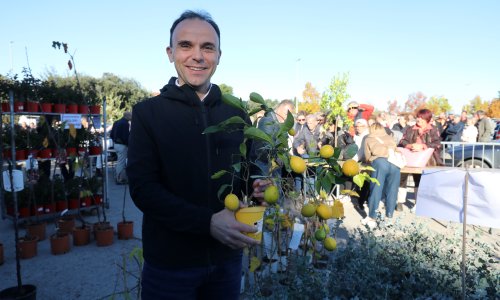 Loris Peršurić novi je predsjednik IDS-a