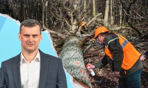 Tko je novi šef Hrvatskih šuma? Vodio komunalna poduzeća, a plaća će mu sad skočiti za četiri tisuće eura