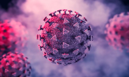 Uzbuna u zdravstvu: Otkriven je divlji poliovirus u Europi