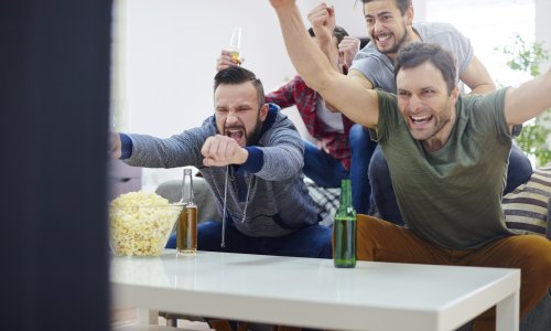 Ponekad je teško razumjeti toliku posvećenost navijača. Evo kako to objašnjava znanost