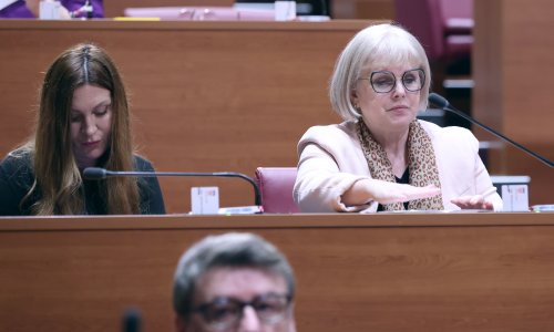 Optužnica protiv SDP-ovke Antolić Vupore zbog subvencijske prevare