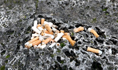 Godišnje se u svijetu baci 4,5 bilijuna opušaka: 'Krajnje je vrijeme za uklanjanje filtera'