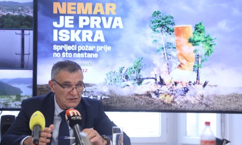 Hrvatske šume dobile novu upravu: Nediljka Dujića zamijenio Joško Radanović