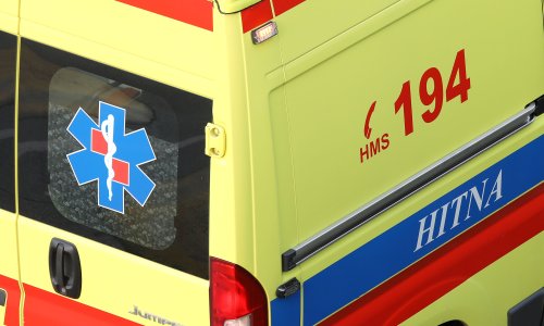 U padu stabla poginuo radnik Hrvatskih šuma