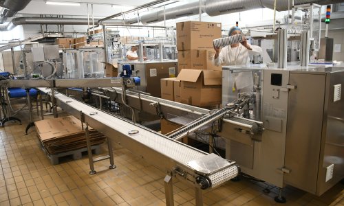 Promet industrije veći nego lani. Kakvi su se proizvodi najviše prodavali?