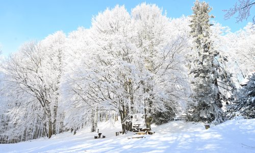 DHMZ objavio prognozu za zimu: Otkrili kakve će biti temperature i kada će biti najviše oborina