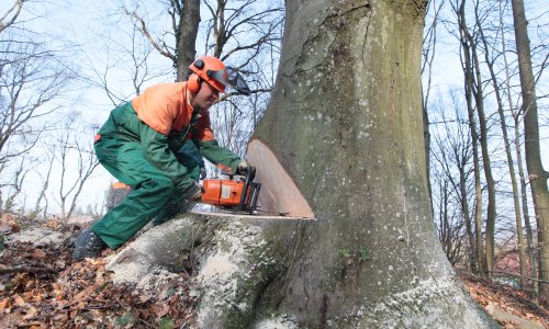 HBOR i Ministarstvo poljoprivrede ponovno uvode povoljnije krediti za drvoprerađivačku industriju