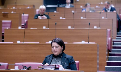 Vlada djelomično prihvatila amandman Kluba IDS-a. Poznato što to donosi