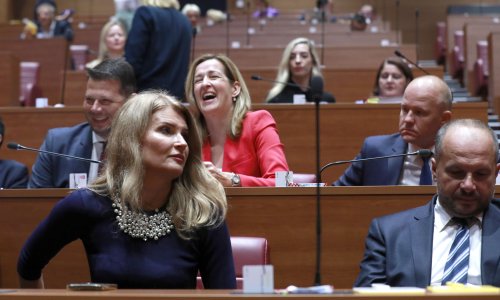 Sabini Glasovac HDZ-ovac rekao da sjedne, ona uzvratila: Ti ćeš mi reći kad da sjednem?