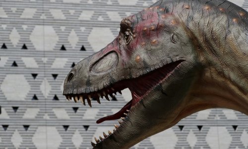 Paleontolozi u Boliviji pronašli rekordan broj tragova stopala dinosaura