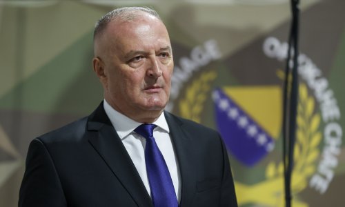 Ministar obrane BiH hrvatsku eurozastupnicu nazvao 'poluretardiranom': To je ustaška kopilad!