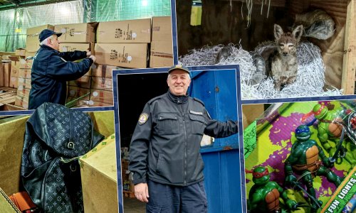 Tajne carinskog skladišta: Od afričkog vuka do lažnjaka opasnih po zdravlje, nadrealno je što ljudi švercaju
