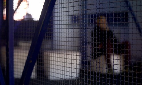 Mentalno smo ovdje, a u stvarnosti? Izložba koja problematizira stvarno i virtualno