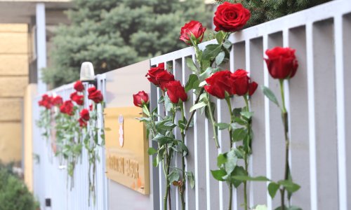 [FOTO/VIDEO] Na ogradi kod Sabora postavljeno 39 ruža za 39 ubijenih žena