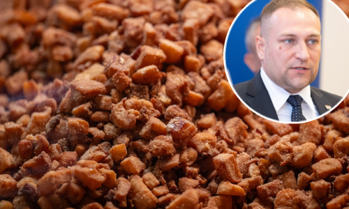 Vlajčić: Spasili smo svinjokolju, a cijene čvaraka su 'nezadovoljavajuće visoke'