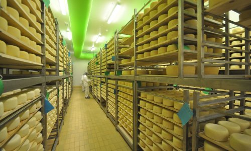 Istarski ovčji sir 52. hrvatski proizvod zaštićenog naziva u EU