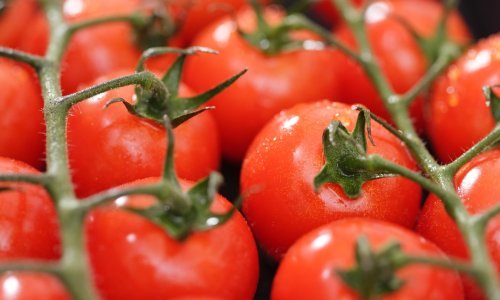Povlače se cherry rajčice, imaju povišenu razinu pesticida