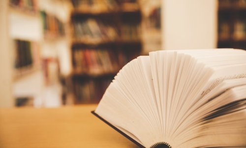 Riječi godine su 'vibe coding', 'slop' i 'paradruštveno'. I sve ih povezuje jedna stvar