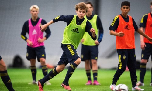 Još je jedan Ibrahimović potpisao za Milan