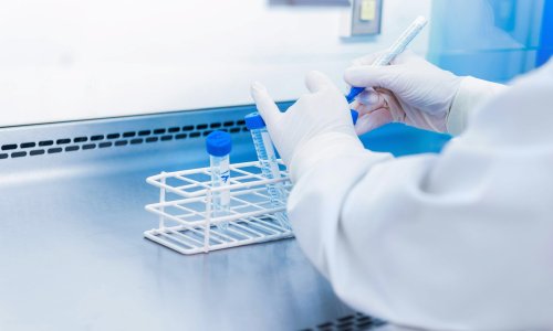 Ruđerovci ispitali devet novih molekula koje bi mogle dati lijek protiv tumora