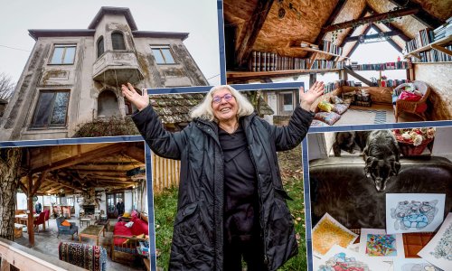 Stogodišnju vilu na Dunavu većina bi prodala, ali njezina vlasnica dijeli je besplatno: 'Nema to veze s dobrotom'