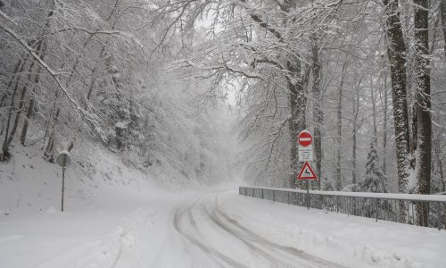 Auto je zapeo na Sljemenskoj cesti, ljudi su samo prošli: 'Gdje je nestao božićni duh?'