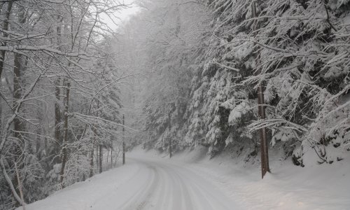 Pogledajte snježnu idilu na Sljemenu: Prizori kao iz bajke nekima nisu ostali u dobrom pamćenju