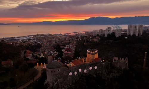 Hrvatski iseljenici iz SAD-a novčano pomogli udruzi udomitelja u Rijeci