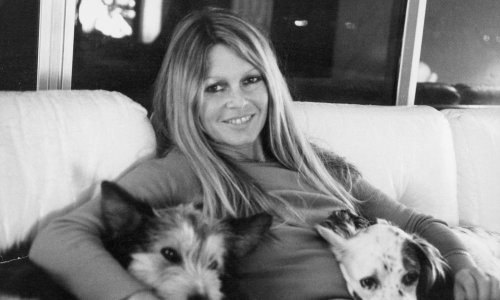 Teški posljednji tjedni za Brigitte Bardot: Od demantija smrti do otkrivanja velike tajne