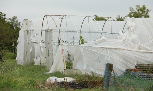 Stižu odštete zbog vremenskih nepogoda: Evo koliko će novca biti isplaćeno