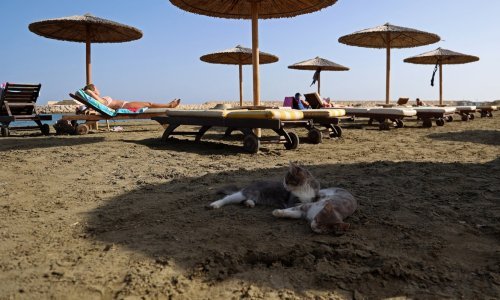 Cipar je preuzeo predsjedanje Europskom unijom: Koliko je ovaj otok mačaka sličan Hrvatskoj?