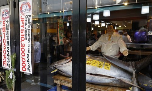 'Kralj tune' platio nevjerojatan iznos za golemu tunu na prestižnoj aukciji u Tokiju