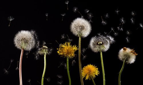 Znanstvenici zabrinuti vidljivim dokazima raspada klime: 'Utječu na život bez diskriminacije'