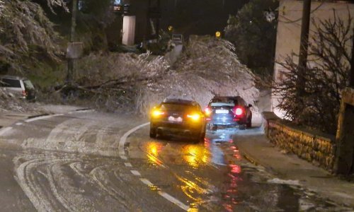 [VIDEO] Opasno nevrijeme pogodilo Knin: Olujni vjetar i ledena kiša rušili drveće, sve je zaleđeno