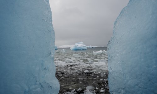 Znanstvenici zabrinuti: Otapanje grenlandskog 'uspavanog diva' moglo bi imati razorne posljedice