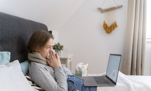 Sezona virusa i suhog zraka u prostorijama: pronađite najbolji ovlaživač zraka