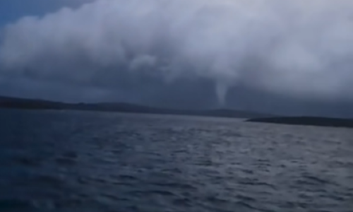 VIDEO Golema pijavica snimljena kod Petrčana